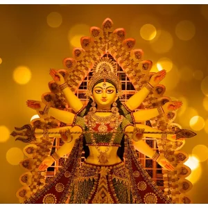 Nav Ratri- Nav Chandi Sadhna